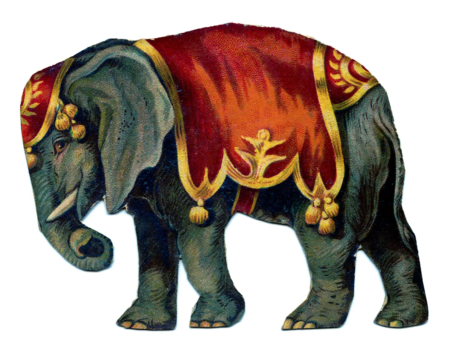elephant